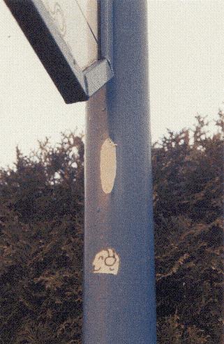 pic1
